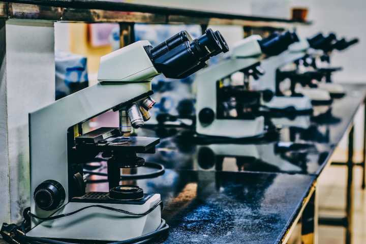Bothell’s Biotech Blues: A Life Sciences Hub Under Pressure