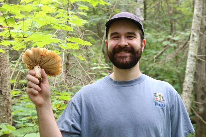Mushroom enthusiast shares summer and fall foraging tips
