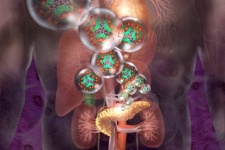 Type 1 Diabetes Patient’s Insulin Production Restored with New Cell Transplant Therapy