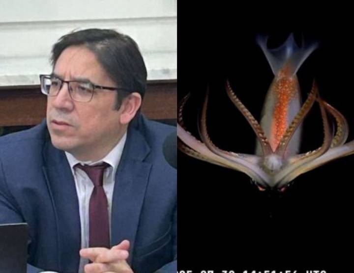 “Próximamente plataforma petrolera”. El provocador mensaje de un funcionario de Milei contra la misión del Conicet