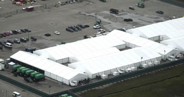 Environmental concerns could halt construction at Florida's 'Alligator Alcatraz' immigration jail