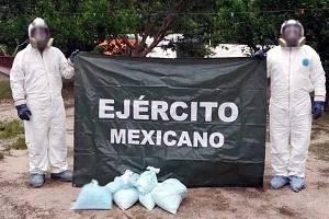 Decomisan 349 mdp en droga en Badiraguato