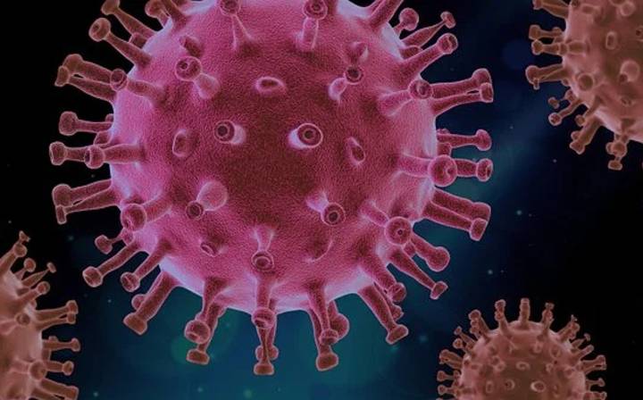 OMS vigila nueva variante de covid-19 'Frankenstein'; ¿Qué sabemos hasta ahora de su contagio?...