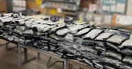 Dallas police seize nearly 400 pounds of marijuana from storage facility and arrest a man