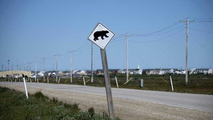 Woman injured in bear attack during morning jog in Alaska