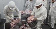 Paso clave en el matadero de Jacobacci para agregar valor a la producción de la Región Sur