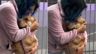 Miserable Dog Gets Much-Needed Hug From California Rescuer After The Saddest Surrender