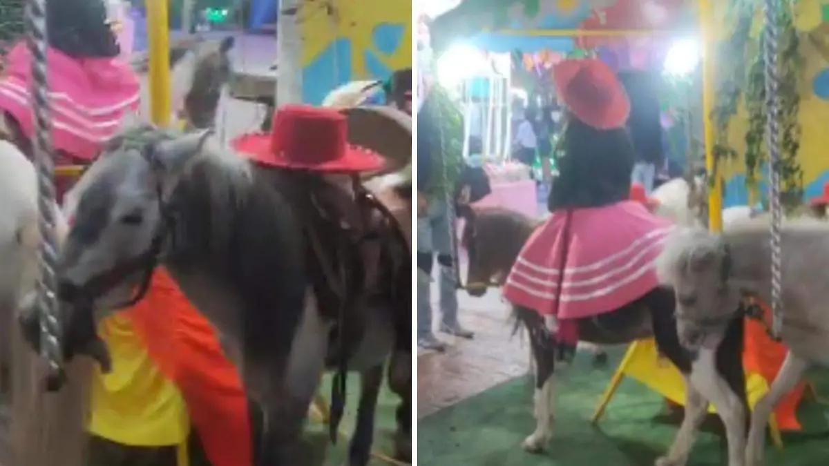 Piden a la Fenapo frenar y prohibir maltrato animal en atracciones