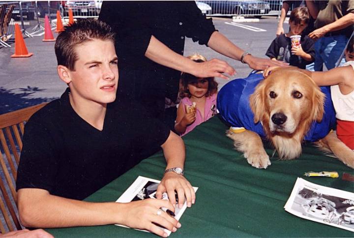 Your dog could be the next 'Air Bud.' Here's how to apply