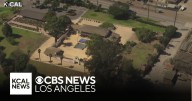 Olivas Adobe | Look At This!