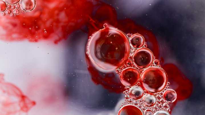 Desarrollan un test sanguíneo que permite detectar el mieloma múltiple