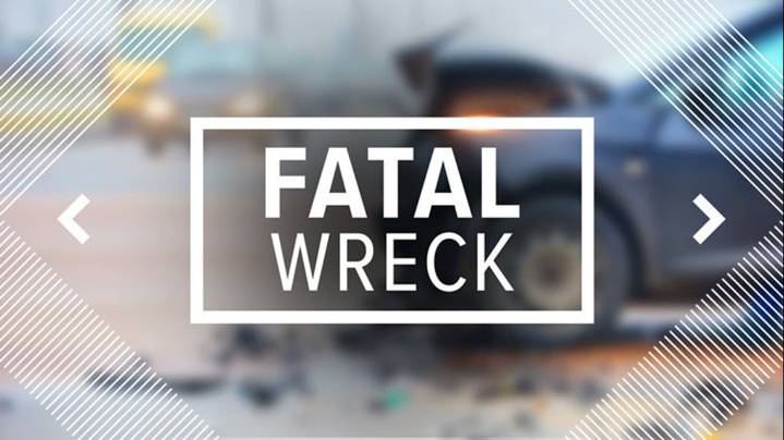 Single vehicle crash on TX-124 & Bill Gaulding Rd kills one in Jefferson County