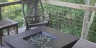 Mark Storie catches bear enjoying his bird feeder