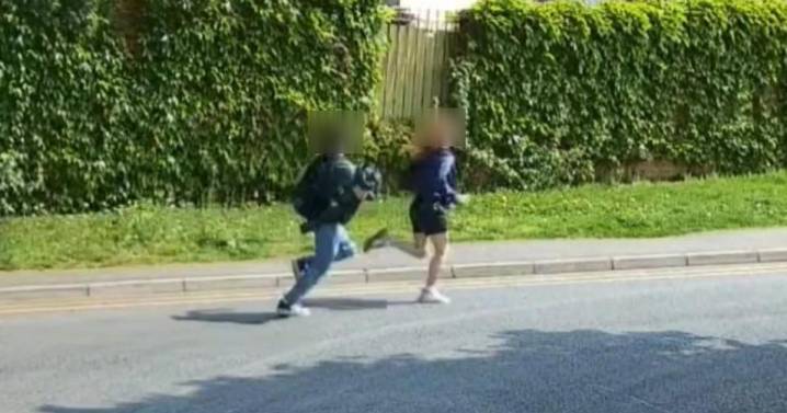 Boy and girl detained for sadistic Ruislip kitten killings