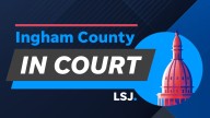 Man pleads guilty in Lansing dismemberment case