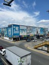 Cerrarán sucursal de Gonzalitos, pero la juguetería sigue en pie