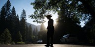 Trans biologist fired from Yosemite National Park after stunt with transgender flag