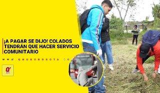 ¡A pagar se dijo! Colados tendrán que hacer servicio comunitario