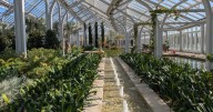 'Longwood Reimagined' documents massive renovation at gardens in Kennett Square