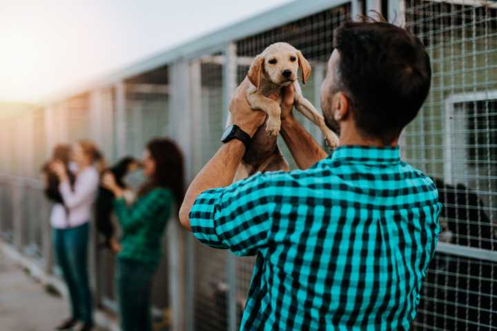 RivCo Waives Pet Adoption Fees This Weekend