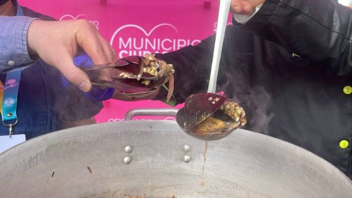 Videos: vecinos de Lirquén disfrutan del primer día de la "Fiesta del Cholgüazo"