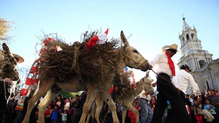 Arequipa: 11 comparsas en la Entrada de Ccapo este viernes, aquí los detalles