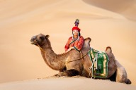 Festejan cuatro décadas de la relación entre Mongolia y México con exhibición fotográfica