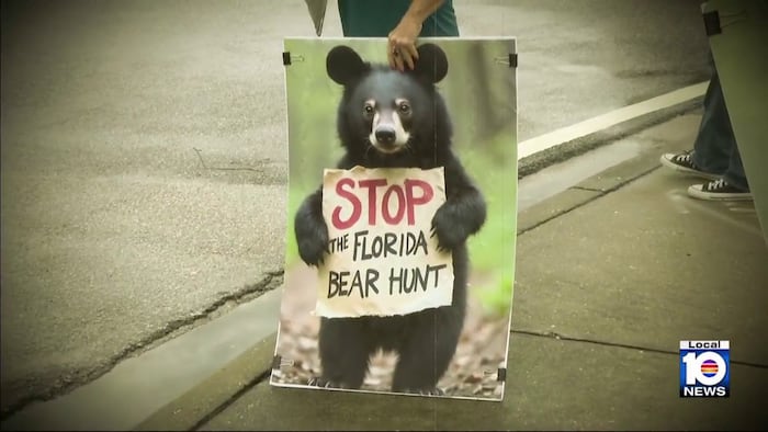 Animal advocates opposing Florida bear hunt seek to invalidate state officials’ vote