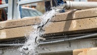 Walleye, trout, sturgeon, Chinook stocked in Michigan waters. How many fish DNR added this year