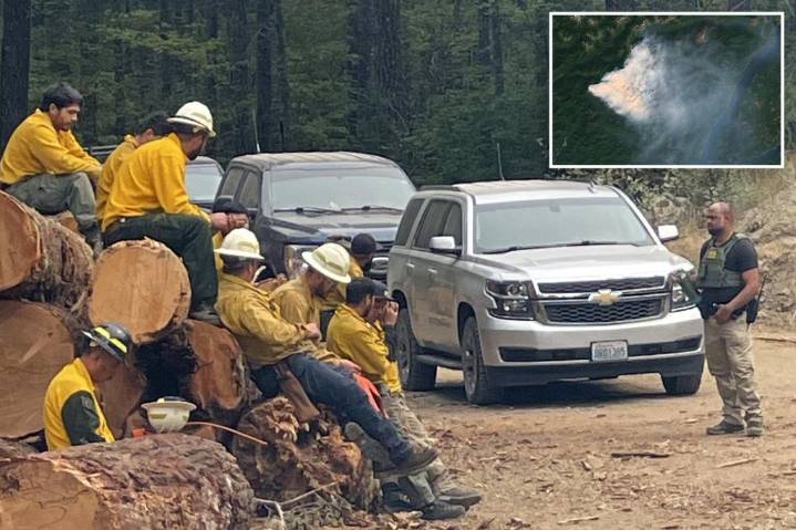 Firefighters arrested by Border Patrol while tackling wildfire