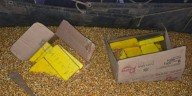 Traficaba 44 kilos de cocaína escondidos en un camión entre una carga de maíz y fue detenido