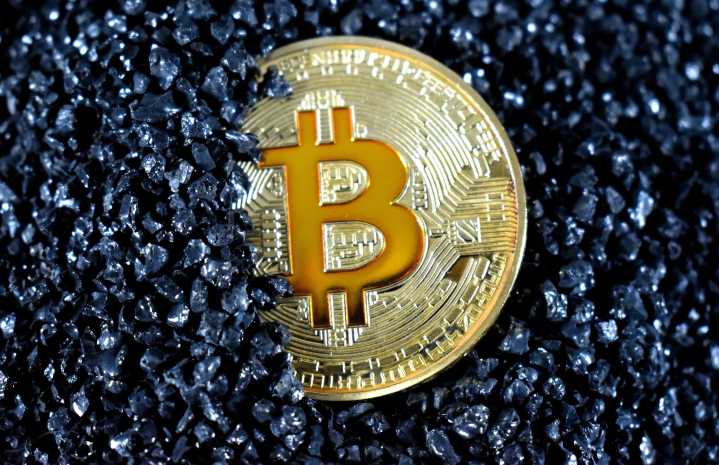 Winklevoss Twins Inject Bitcoin Into Trump