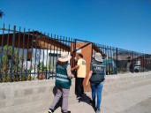 SAG mantiene vigilancia de mosca de la fruta en Copiapó
