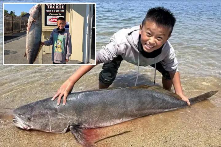 Boy, 13, hauls in 64-pound sea bass, could smash world record
