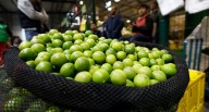 Amas de casa preocupadas por el alza del limón