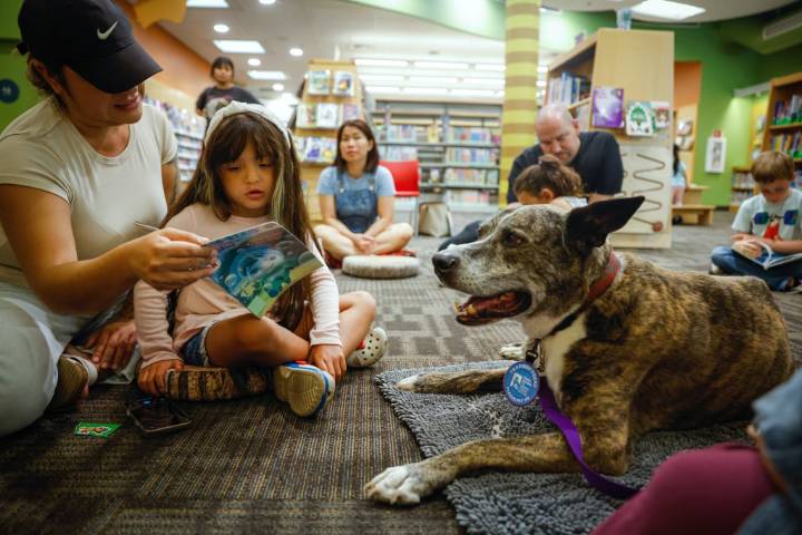 Has California turned the page on its reading crisis?