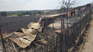 Organizaciones exigen un protocolo de rescate de animales tras la muerte de cientos en el incendio de Tres Cantos