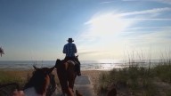 Horseback riding on specific Volusia beaches clears hurdle