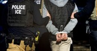 Avanzan las redadas del ICE en Estados Unidos: el IRS ya comenzó a filtrar datos de inmigrantes al gobierno: quiénes están en peligro