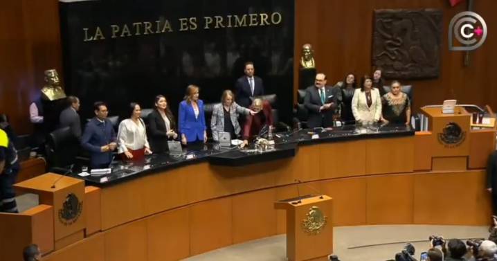Laura Itzel Castillo es electa presidenta del Senado con 101 votos a favor