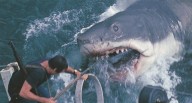 ‘Jaws’, ‘Sholay’ to screen in TIFF Classics