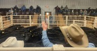 'This is a great time to be in the cattle business'