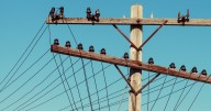 Electricity prices up 5.5% in a year, federal data shows