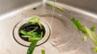 The Truth About Sharpening Your Garbage Disposal's Blades