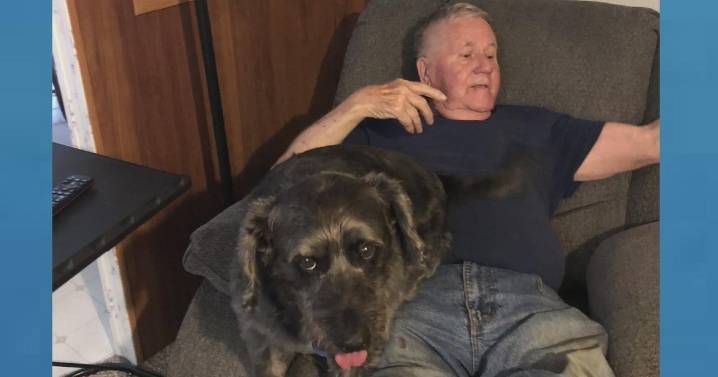 Man accused of stealing Pittsburgh-area veteran's beloved dog Lucky pleads guilty