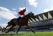 The unorthodox appeal of the Shergar Cup