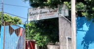 Robos en escuelas durante vacaciones: suman 288 casos en México, alerta Mexicanos Primero