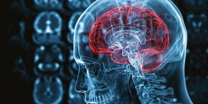 Los misterios del cerebro: el nuevo enfoque para investigar la demencia que cambia el escenario científico de América Latina