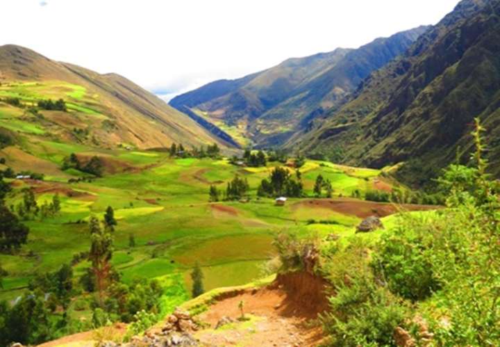 Gobierno aprobó creación del Área de Conservación Regional San Pedro de Chonta en Huánuco