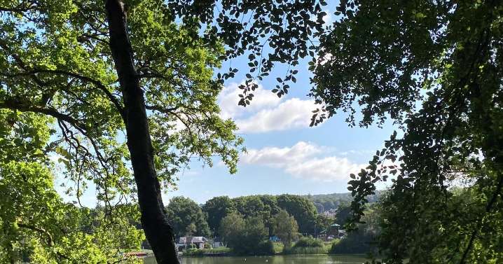 Serene Devon country park with glorious lake which hides secret past